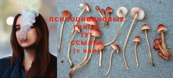 ALPHA-PVP Абинск