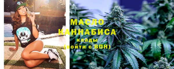 индика Кулебаки