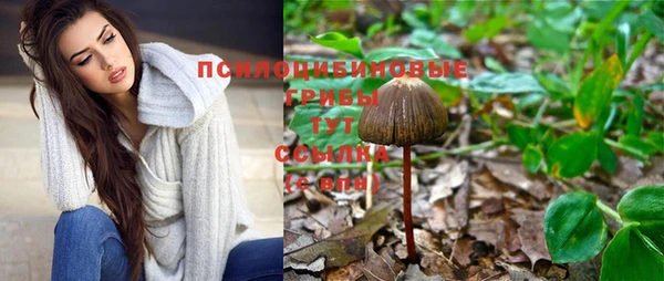 бутират Абаза