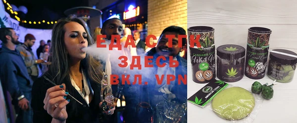 индика Кулебаки