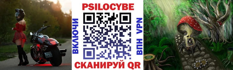 нарко площадка наркотические препараты  Хабаровск  Псилоцибиновые грибы Cubensis  купить наркотики цена 